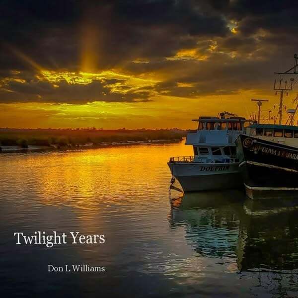 Cover art for Twilight Years